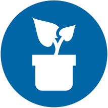 Phytosanitaire 